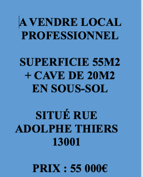 Vente Immobilier Professionnel Local commercial Marseille 13001