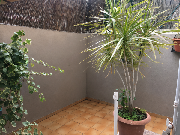 Offres de vente Appartement Marseille 13003