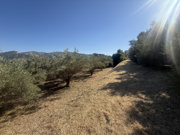 Offres de vente Terrain Marseille 13011